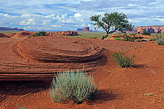 特色,风景,红色,砂岩,神秘,山谷,亚利桑那,美国