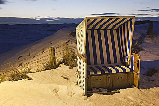 沙滩椅,红崖,叙尔特岛,北方,石勒苏益格,黑白花牛,德国
