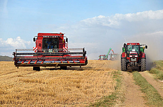谷物,丰收,机器,联合收割机,收割,拖拉机,收获,小麦,地点,德国,欧洲