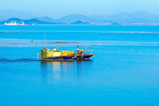 江门银湖湾湿地风光