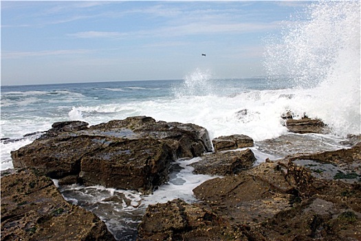 波浪,碰撞,岩石,海滩,澳大利亚
