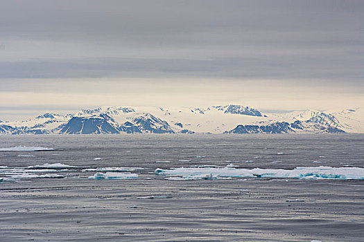 挪威,斯瓦尔巴特群岛,斯匹次卑尔根岛,边缘,浮冰,北方