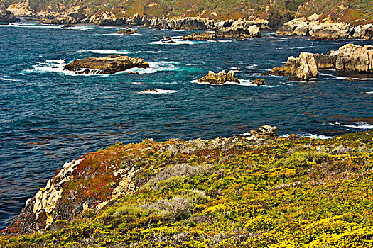 海浪,岸边,州立公园,加利福尼亚,美国
