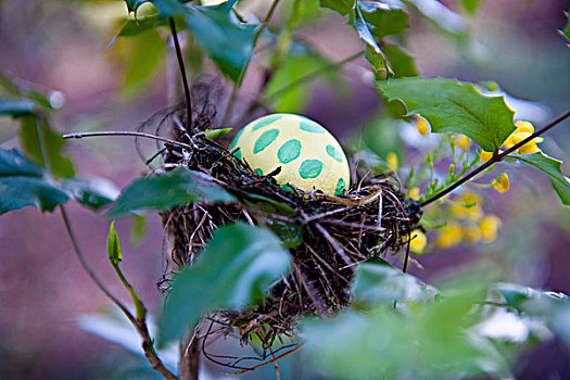 鸟窝,复活节彩蛋