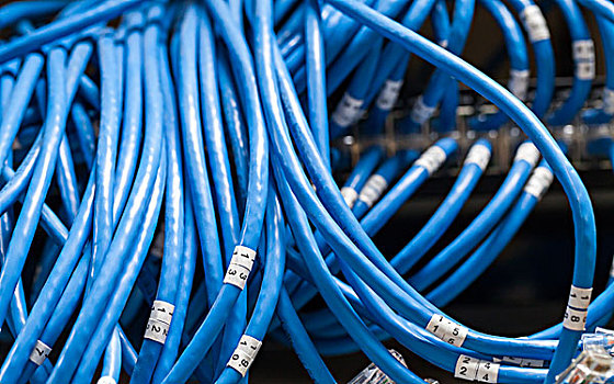 大量,蓝色,互联网,线缆,数字