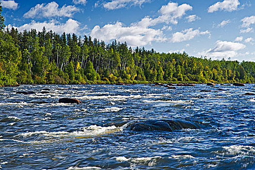 急流,清水,河,省立公园,北方,萨斯喀彻温,加拿大