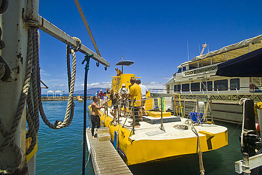 夏威夷,毛伊岛,黄色,潜水艇