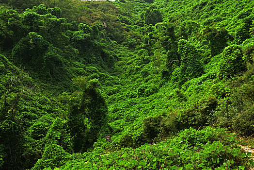 河北省石家庄平山县藤龙山风景区