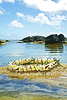 夏威夷,考艾岛,海洋,鸡蛋花,花环,沙滩
