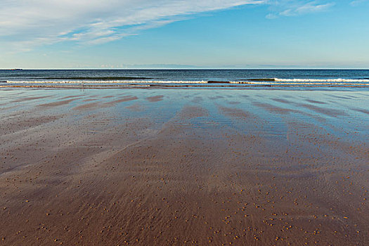 湿,沙滩,海浪,北海,退潮,早晨,诺森伯兰郡,英格兰,英国