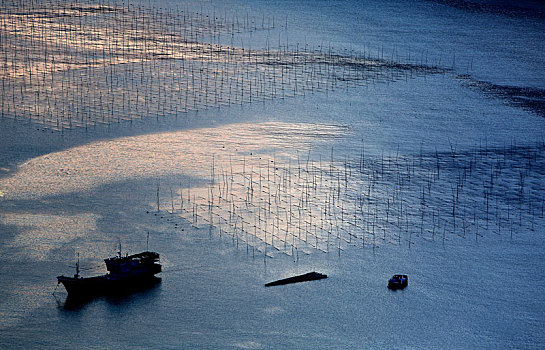 福建霞浦,小浩,滩涂,摄影