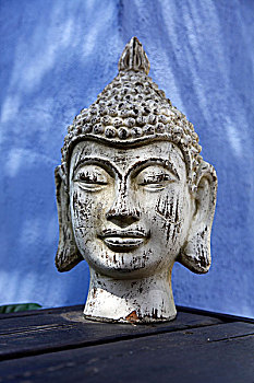 佛祖头部,石膏,头部,装饰,花园