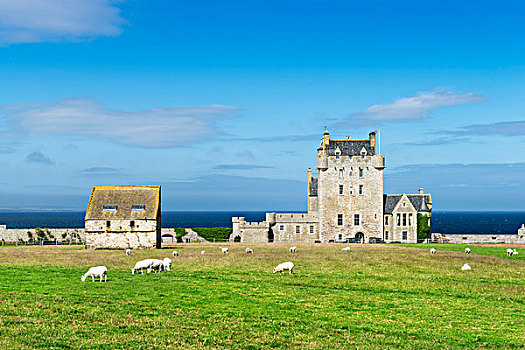 塔,靠近,烛芯,城堡,15世纪,北海,海岸,凯思内斯郡,苏格兰,英国,欧洲