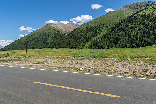 中国新疆夏季蓝天白云下高山森林g217独库公路直行道侧面