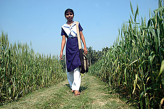 女孩,道路,背影,学校,乡村,孟加拉,二月,2009年