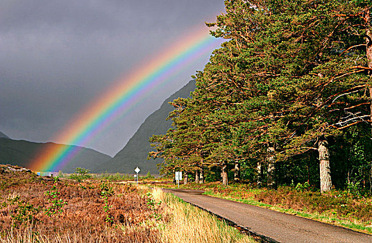 彩虹,上方,道路,高地,苏格兰