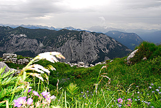 自然,保存,区域,风景,失败者,山,巴特奥西,萨尔茨卡莫古特,施蒂里亚,阿尔卑斯山,奥地利,欧洲