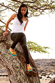 女青年,牛仔裤,无袖背心,坐在树上,树干,夏威夷,美国