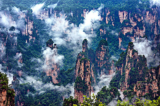 湖南,张家界,峰林,云雾