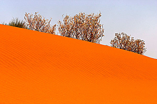 风,图案,红色,沙子,山,北领地州,澳大利亚