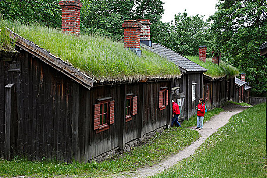 芬兰,土尔库,回廊,山,工艺品,博物馆,18世纪,木质,区域,房子,草,屋顶