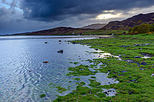 草,海岸线,日出,苏格兰,海岸,靠近,艾琳多南古堡,英国