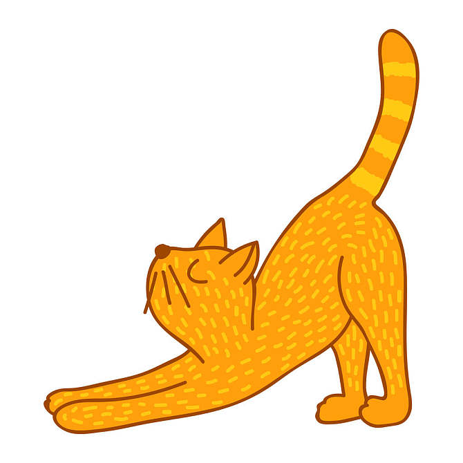 伸展_猫_插画_可爱_站立_高清图片_全景视觉