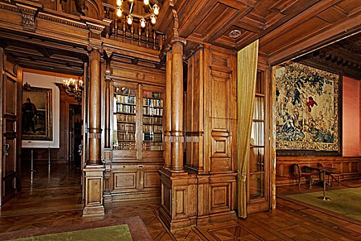 图书馆,木头,镶板,别墅,家,北莱茵威斯特伐利亚,德国,欧洲
