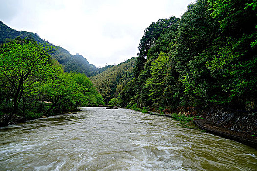 竹林,山路,山区,溪流