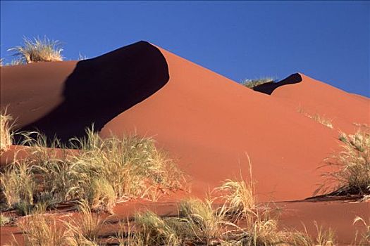 沙丘,风景,纳米比诺克陆夫国家公园,纳米比亚,非洲