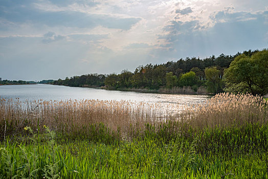 河,乌克兰