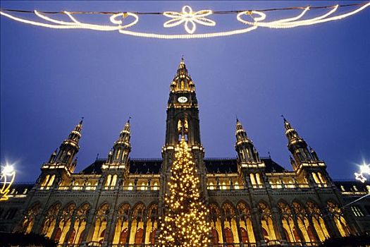 光亮,市政厅,建筑,圣诞装饰,晚间,维也纳,奥地利,欧洲