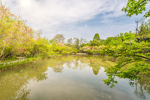 中国江苏南京栖霞山桃花涧的池塘桃花和园林建筑