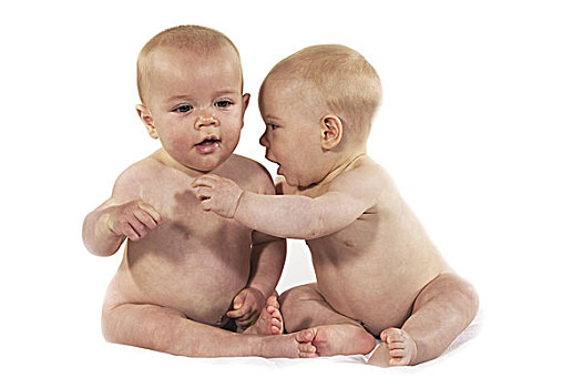 双胞胎,男婴,坐,白色背景