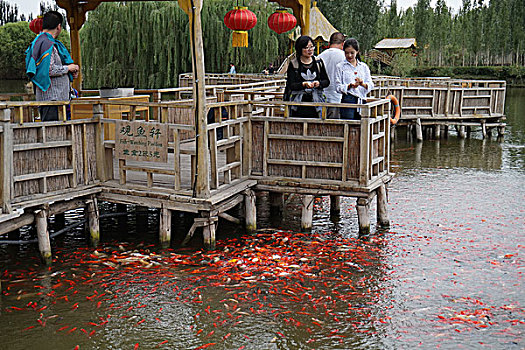 新疆大河口博斯腾湖景区风光