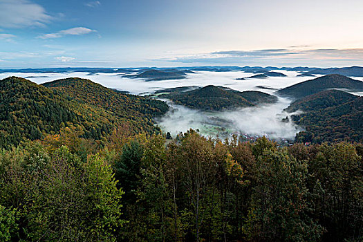 风景,普拉蒂纳特,树林,城堡,清晨,莱茵兰普法尔茨州,德国,欧洲