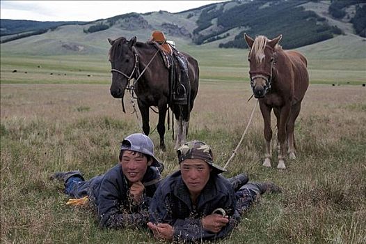 草原,蒙古人,骑乘,马,哺乳动物,蒙古,亚洲,牲畜,动物