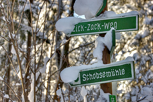 德国,图林根州,标识,标志物,木头,树,雪