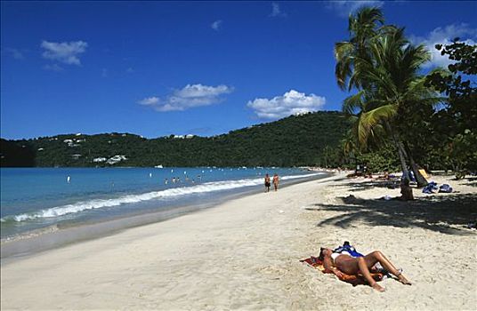 海滩,度假,湾,岛屿,美属维京群岛,加勒比海