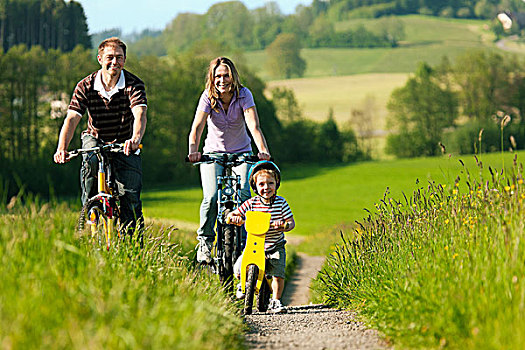家庭,男孩,孩子,周末,旅游,自行车,夏天,美景