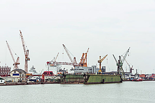 干船坞,码头,起重机,背景,不来梅港,德国