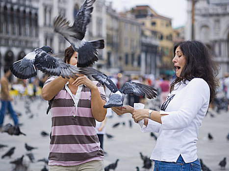 两个女人,公众广场,鸽子,笑