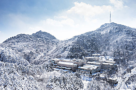 雪景,黄山,山,冬天