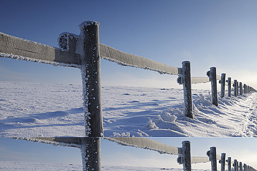 围栏,雪,山峦,黑森州,德国