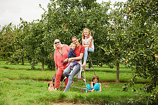 家庭,梯凳,苹果园
