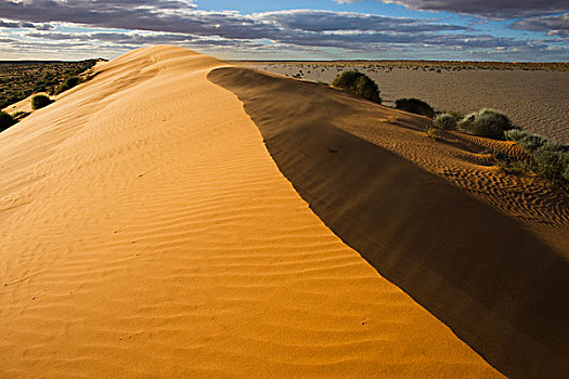 沙丘,洪水,沙漠,昆士兰,澳大利亚