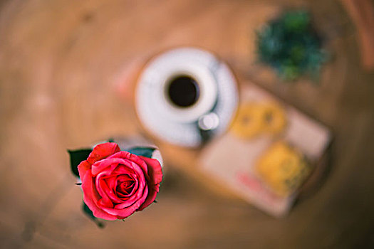 玫瑰与午茶