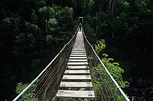 吊桥,上方,白色,河,国家公园,安大略省,加拿大