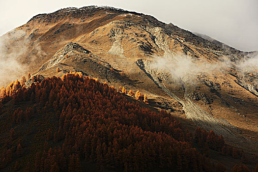 山,风景,南蒂罗尔,意大利