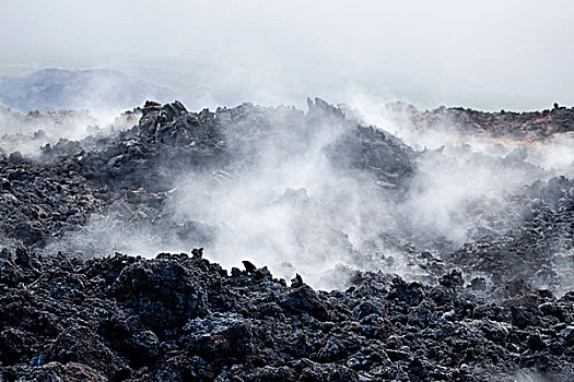 安静,温暖,火山岩,喷发,火山,2007年,蒸汽,雨,蔷薇科,留尼汪岛,印度洋